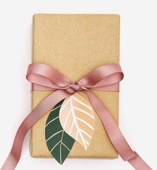 massage- bien-être-bon cadeau - saint-jacques-des-blats-cantal